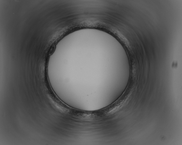 X0000089420493200707131825