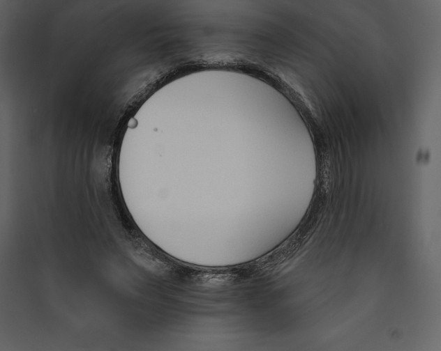 X0000089420495200707131825