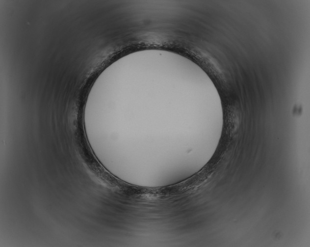 X0000089420496200707131825