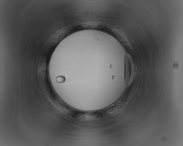 X0000089420498200707131825