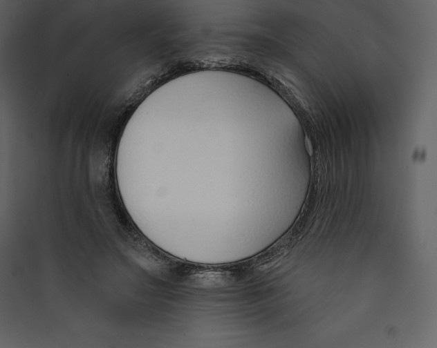X0000089420499200707131825