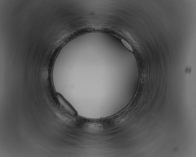 X0000089420500200707131825