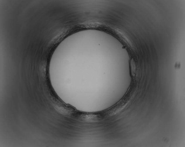 X0000089420501200707131825