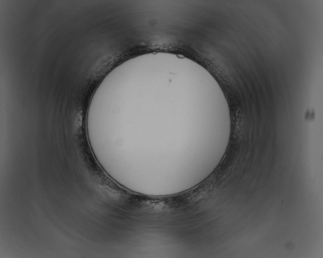 X0000089420502200707131825