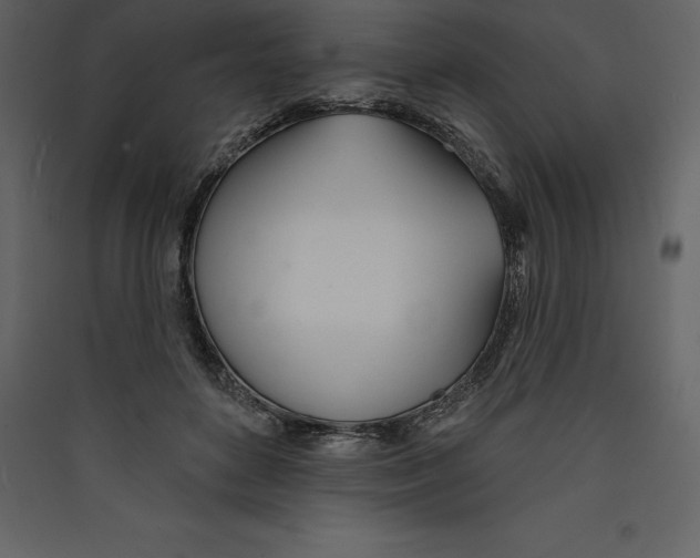 X0000089420504200707131825