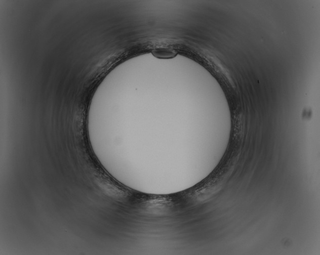 X0000089420505200707131825