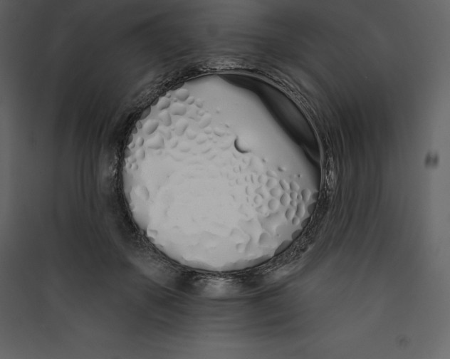 X0000089420507200707131825