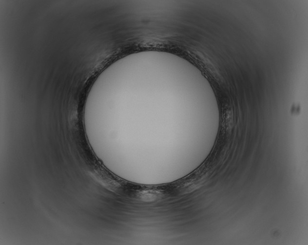 X0000089420508200707131825