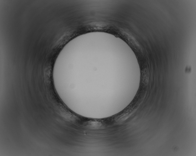 X0000089420509200707131825