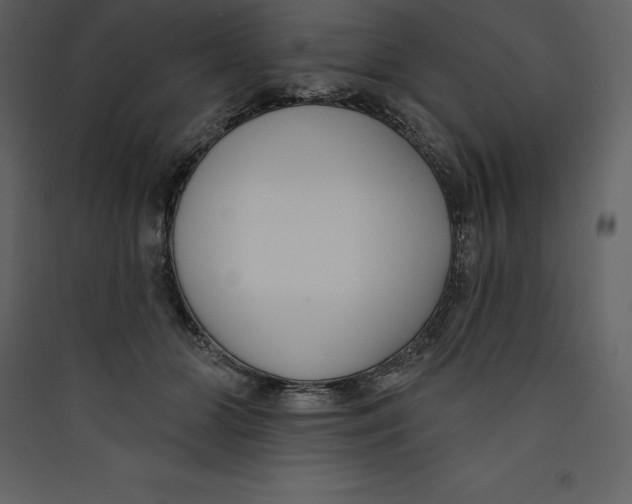 X0000089420510200707131825