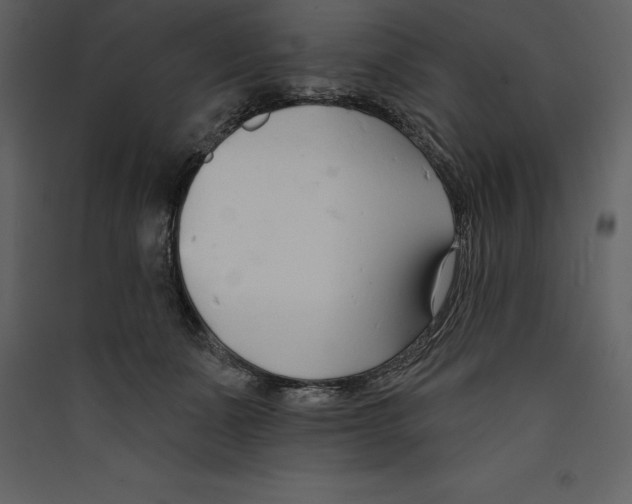 X0000089420511200707131825