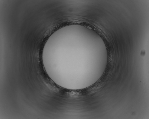 X0000089420512200707131825