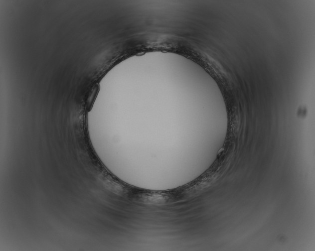 X0000089420513200707131825