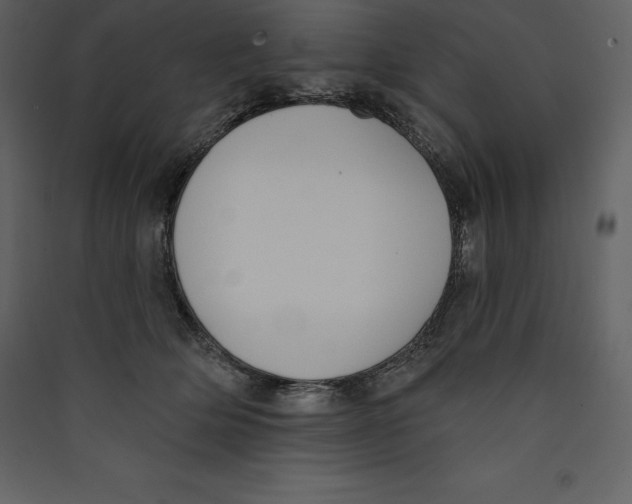 X0000089420514200707131825