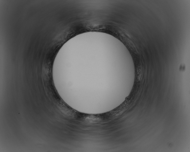 X0000089420515200707131825