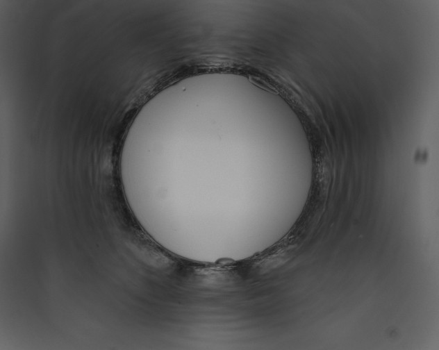 X0000089420516200707131825