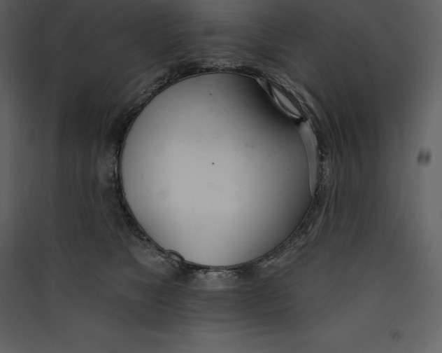 X0000089420517200707131825