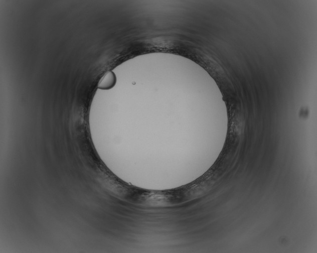X0000089420518200707131825