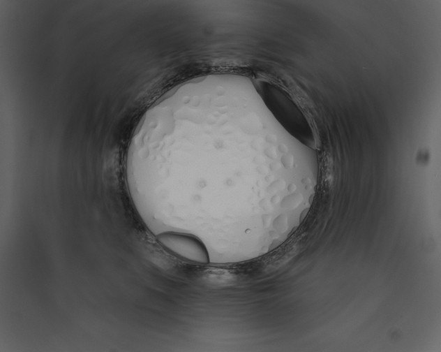 X0000089420519200707131825