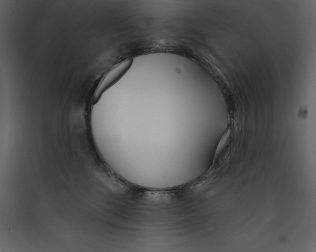 X0000089420520200707131825