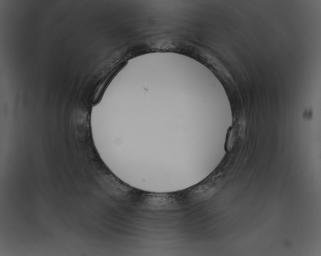 X0000089420521200707131825