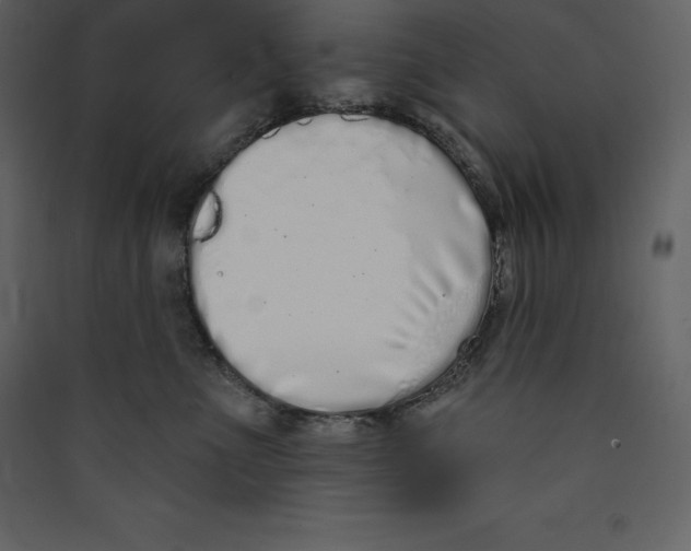 X0000089420523200707131825