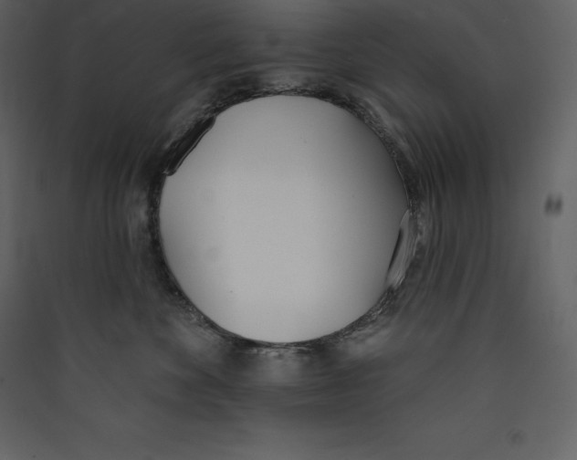 X0000089420524200707131825