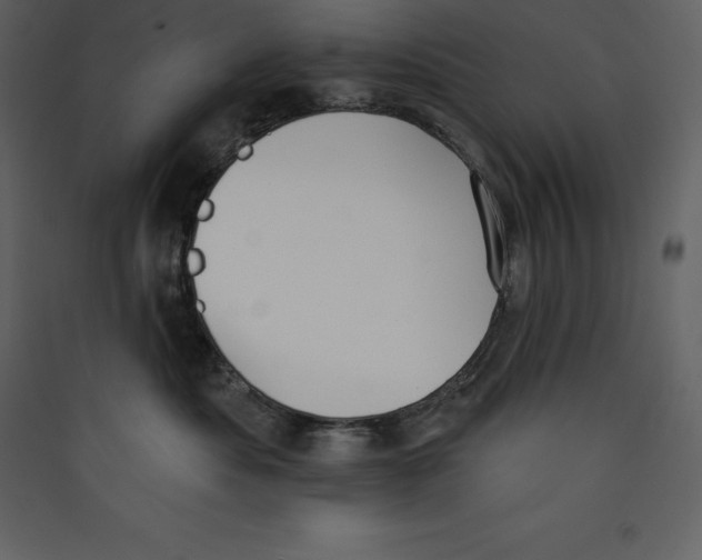 X0000089420525200707131825