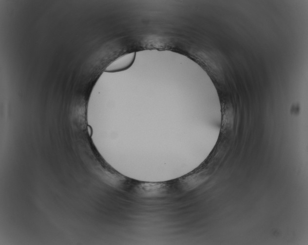 X0000089420526200707131825
