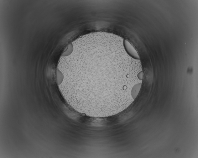 X0000089420527200707131825