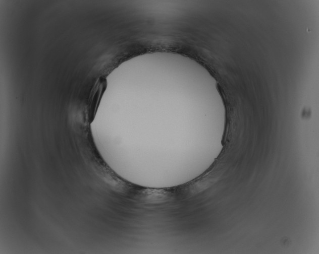 X0000089420528200707131825