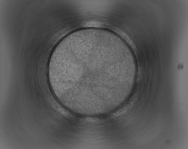 X0000089420529200707131824