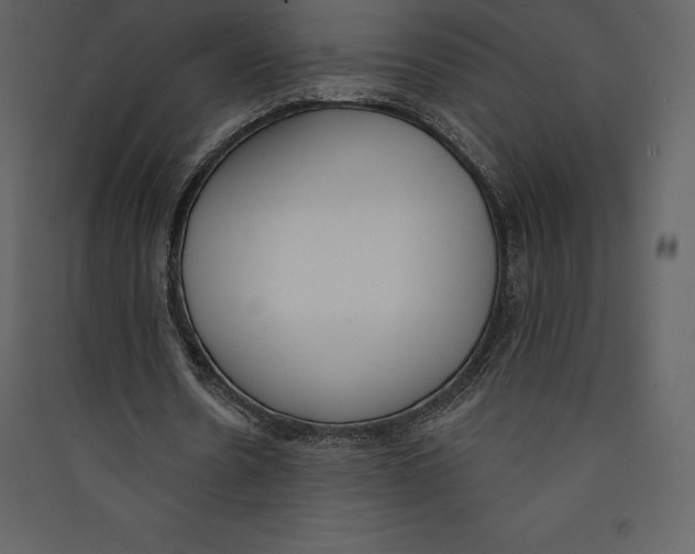 X0000089420530200707131824