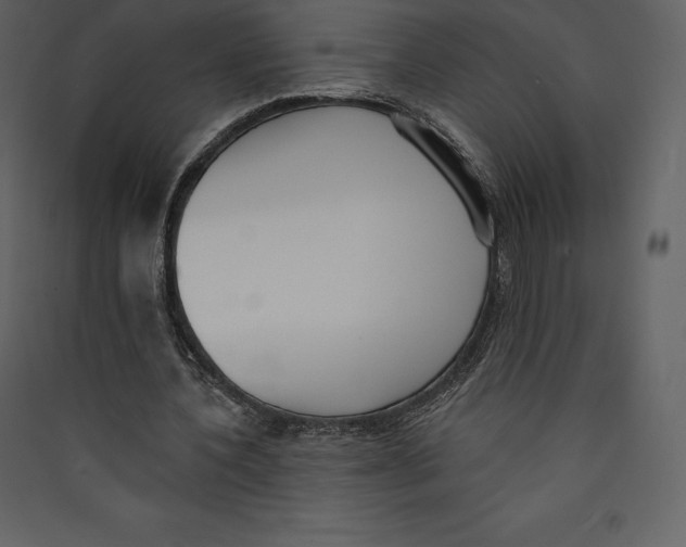 X0000089420532200707131824