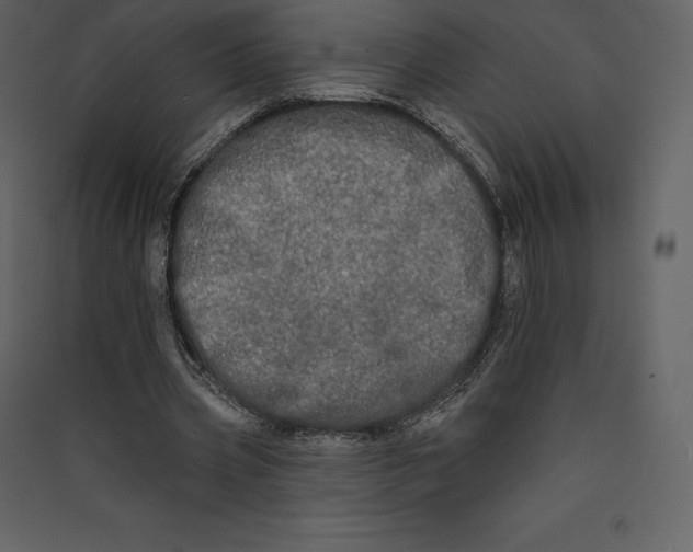 X0000089420533200707131824