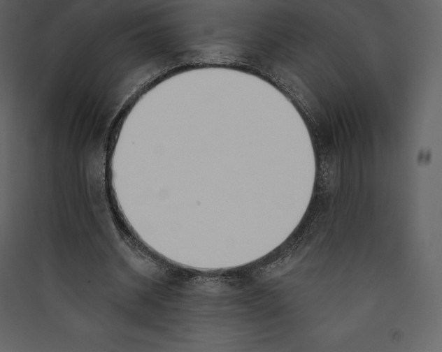 X0000089420534200707131824