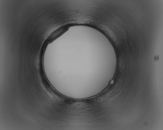X0000089420536200707131824