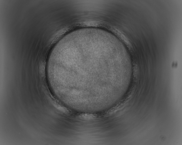X0000089420537200707131825