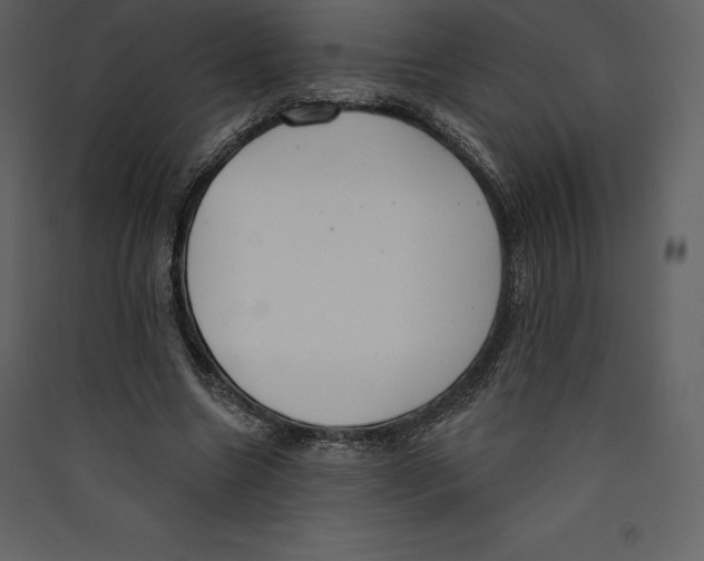 X0000089420538200707131825