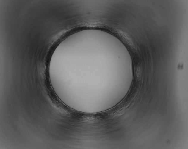 X0000089420540200707131825