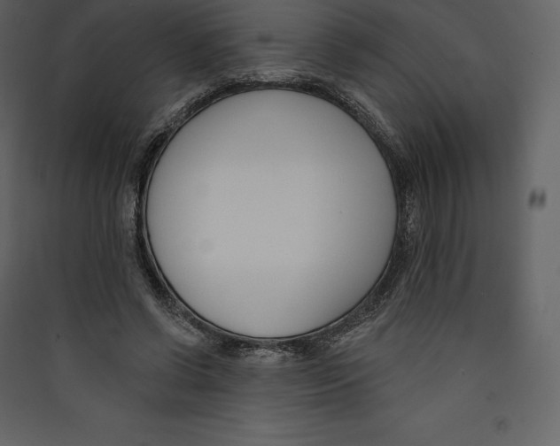 X0000089420542200707131825
