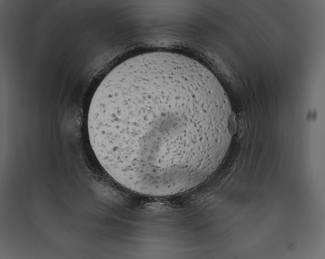 X0000089420544200707131825