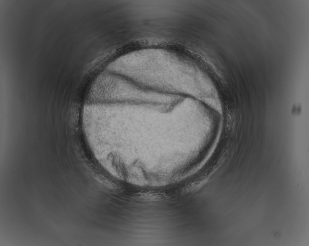 X0000089420545200707131825