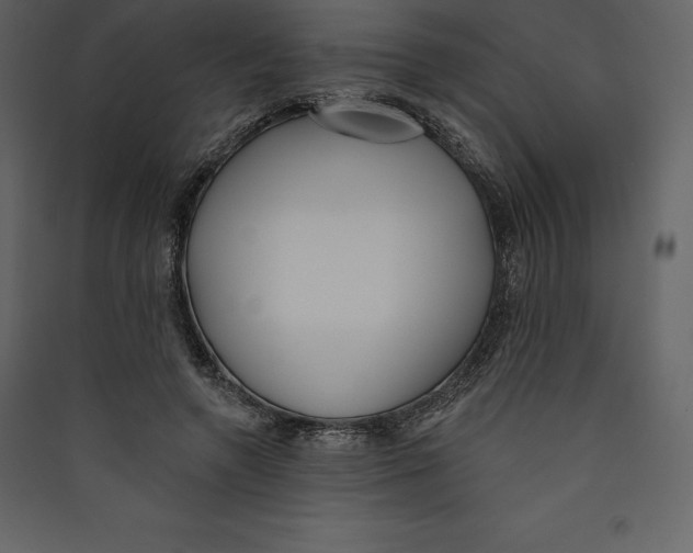 X0000089420546200707131825