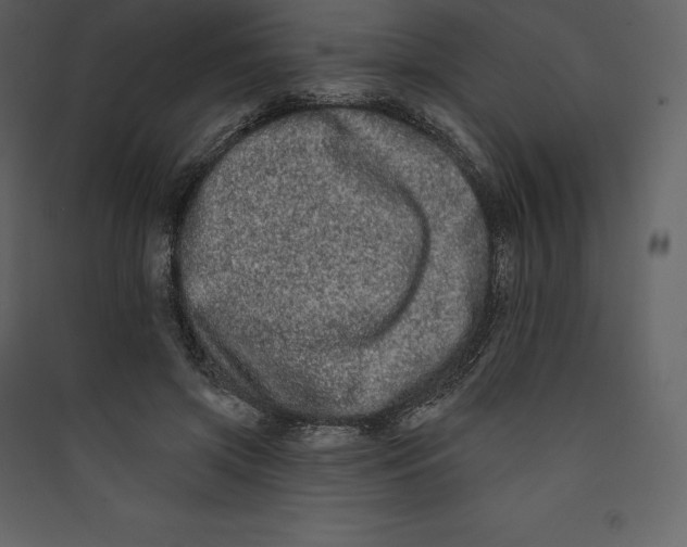 X0000089420549200707131825