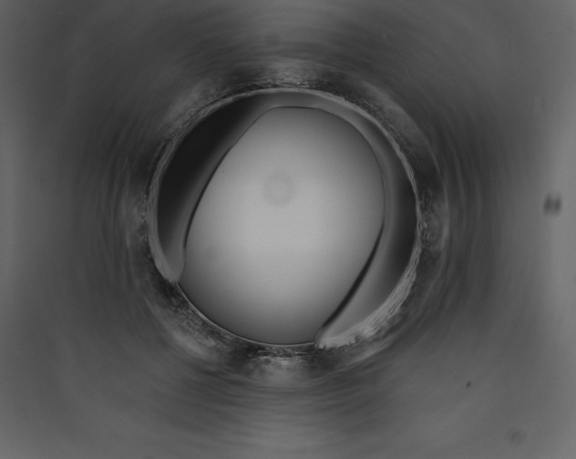 X0000089420552200707131825