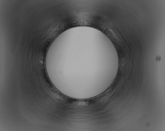 X0000089420553200707131825