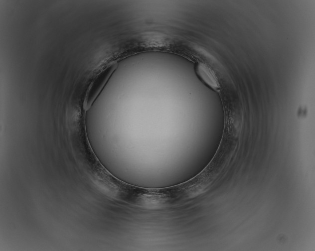 X0000089420556200707131825
