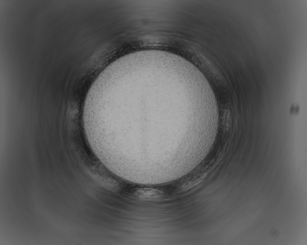 X0000089420557200707131825