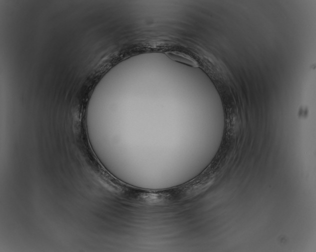 X0000089420558200707131825